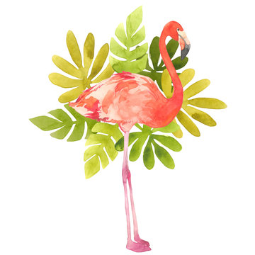 Watercolor illustration with a bird flamingo. Beautiful pink bird and tropical leafs. Tropical flamingo.