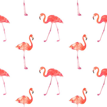 Seamless watercolor pattern with a bird flamingo. Beautiful pink bird. Tropical flamingo.