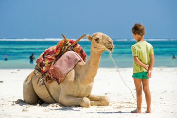 child and camel on the beach looking at each other