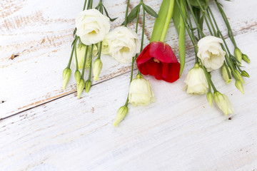 Tulips and eustoma