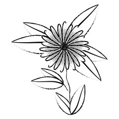 cute sunflower flower with leafs decorative