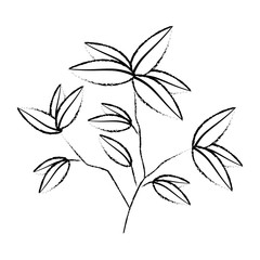 plant branch with leaves