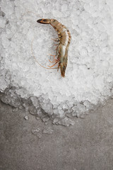 top view of raw prawn on crushed ice and on concrete surface
