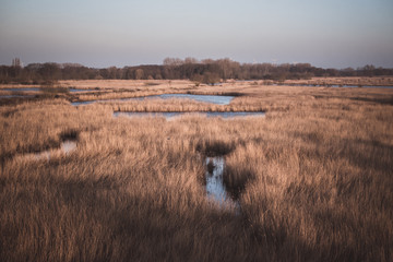 Landschaft