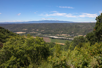 lavandes en Provence