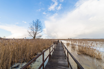 Naklejka premium Winter landscape over the river with a blue sky