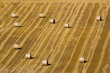 Fototapeta na wymiar hay bale on a field after harvesting