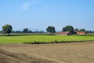 Fototapeta na wymiar Rural landscape along the Po cycle path