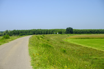 Fototapeta na wymiar Rural landscape along the Po cycle path