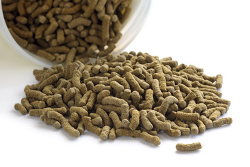 Fish feed isolated on white background. Fish food in sticks for large aquarium and pond fish