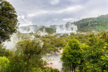 Spectacular Geothermal activity in Rotorua New Zealand