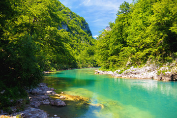 Fototapeta na wymiar blue river flows among the picturesque mountains