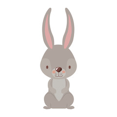 Fototapeta na wymiar cute rabbit easter celebration