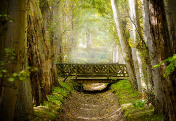 Wooden bridge over a canal used to irrigate the royal gardens of Aranjuez with water from the Tajo River. 