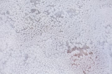 Clean soft fluffy white snow and ice cover as a texture