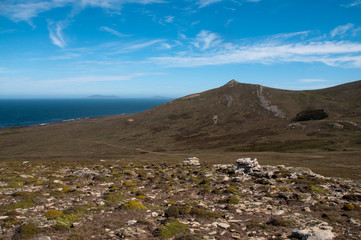 Impression of Carcass Island, the Falklands
