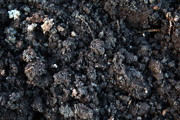 Spring damp earth, chernozem