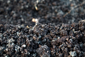 Spring damp earth, chernozem