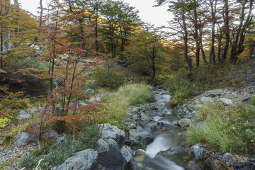 Pure water from the Andes mountains