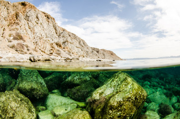 Coral reef scenics of the Sea of Cortez, Baja California Sur, Mexico.  © leonardogonzalez
