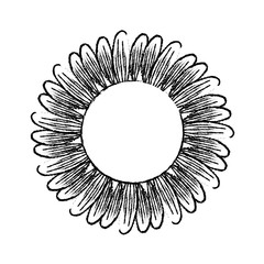 cute sunflower flower decorative icon