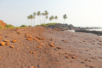 Beach with black sand and palm trees. Dark brown volcanic sand and beach in India, GOA