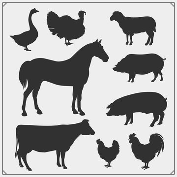 Farm animals vector icons set.