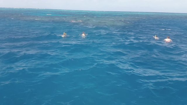 Plongeurs Barri&egrave;re de Corail 