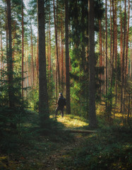 man exploring magic forest