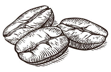 Vector background with coffee macro. Hand drawn. Vintage style