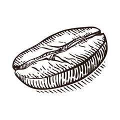 Vector background with coffee macro. Hand drawn. Vintage style