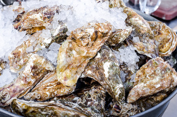 Seafood close up delicious fresh large oysters in a shell with ice healthy sea food background