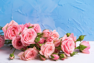 Tender pink roses flowers on  light blue textured background.