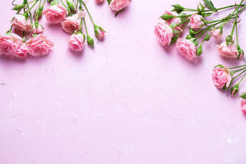 Fresh pink roses flowers on  pink textured background.