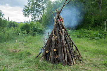 Large bonfire from a dry cripple burns in the forest, against the background of trees.