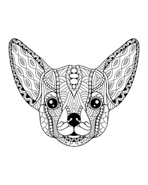 Chihuahua dog zentangle stylized. Freehand vector illustration