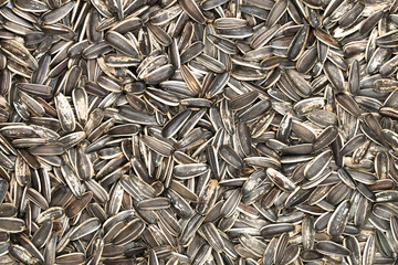 Organic sunflower seeds background. Top view macro photography.