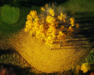 Herbst