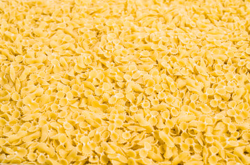 Background of pasta