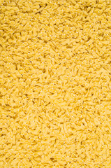 Background of pasta