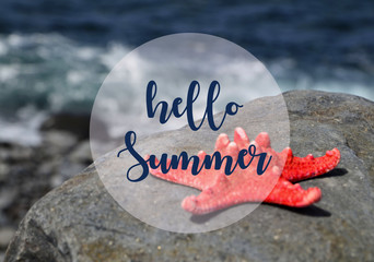 Hello Summer vacation message sign with starfish on the beach by the ocean.
Summertime concept.Selective focus.