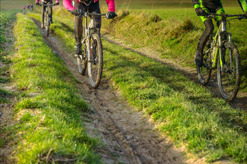 vtt dans un d&eacute;cor d'automne