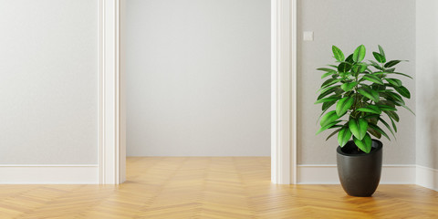Durchgangszimmer im Altbau mit Gummibaum