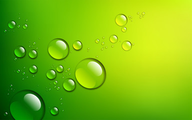 beautiful water drops on a green background