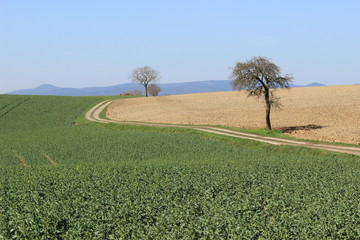 Straße nach nirgendwo