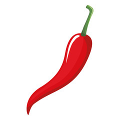 chilli pepper hot vegetable