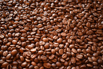 Roasted Beans