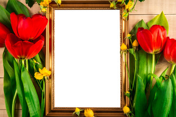 Frame for a photo with an empty white spot and red tulips