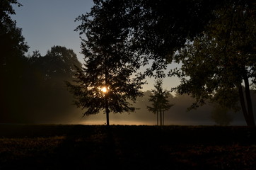 jesienny park o wschodzie słońca, Polska