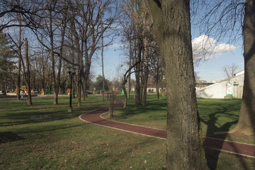 sunny day in the park